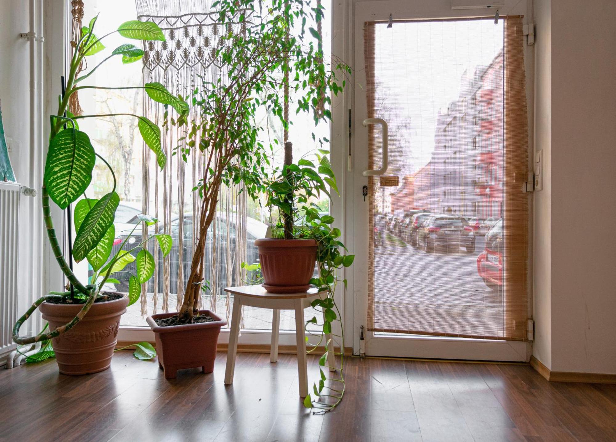 Boutique Altbau Appartement
